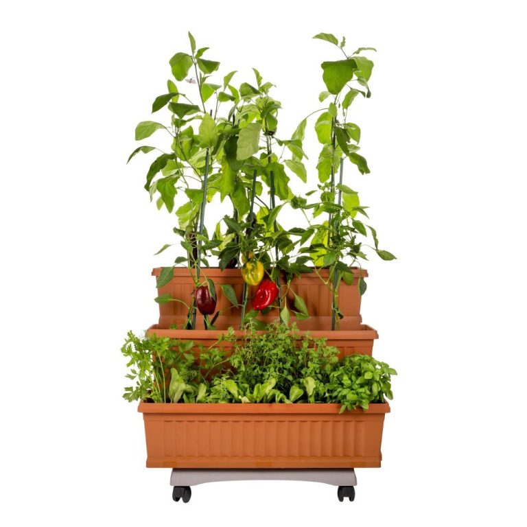 Bama Orto Di Kit Plantenbakken 80x74x73 cm Terracotta | Kopen bij Flickmyhouse