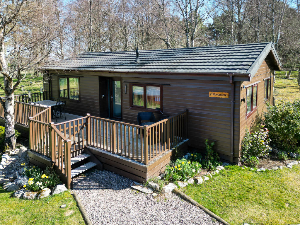 Woodpecker Lodge | Boeken bij Flickmyhouse