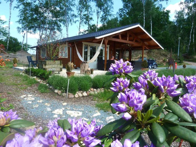 Prachtige 4 persoons vakantiehuis in Wilsum nabij de grens Duitsland-Nederland