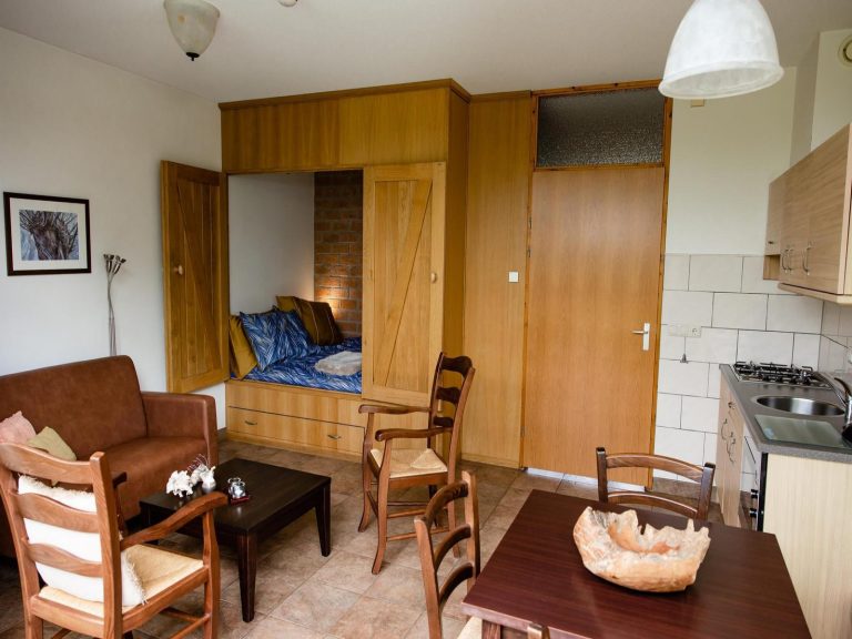 Gezellig boerderij appartement voor 4 personen op een camping in het landelijke Den Ham