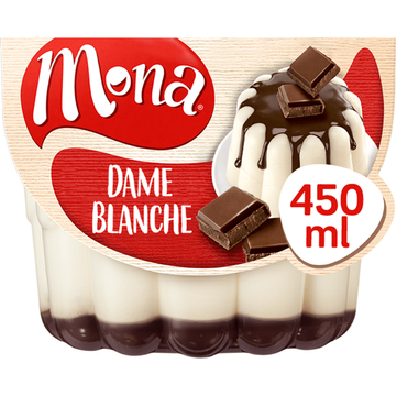 Mona Dame Blanche Pudding met Chocoladesaus bij Jumbo | Flickmyhouse