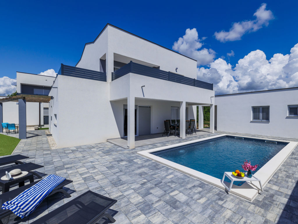 Blue Rose | Boeken bij Flickmyhouse