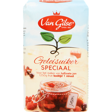 Van Gilse Geleisuiker Speciaal 500 g bij Jumbo | Flickmyhouse