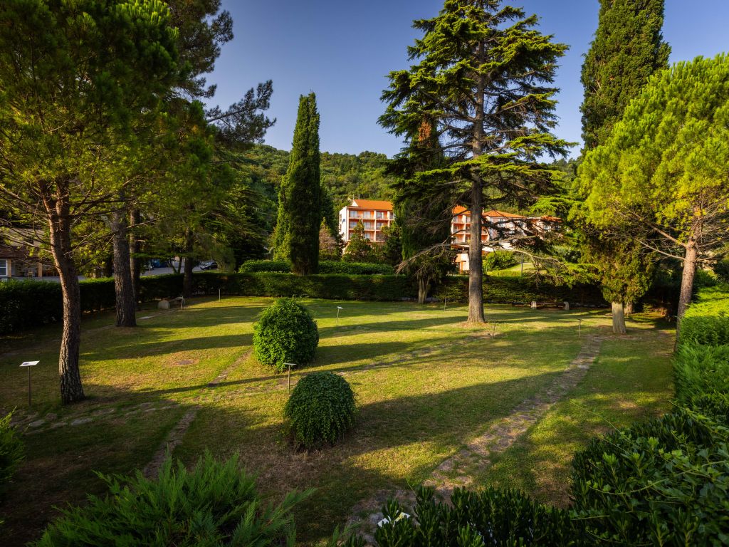 Salinera | Boeken bij Flickmyhouse