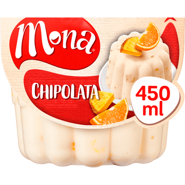 Mona Chipolata Pudding met Stukjes Tropisch Fruit bij Jumbo | Flickmyhouse