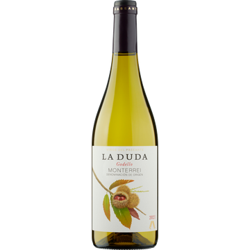 Vinos del Paseante La Duda Godello 750 ML bij Jumbo | Flickmyhouse