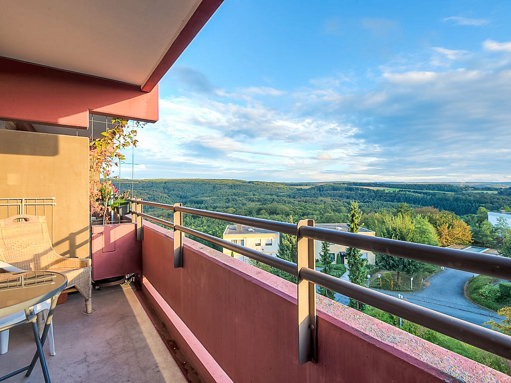 Amsel | Boeken bij Flickmyhouse