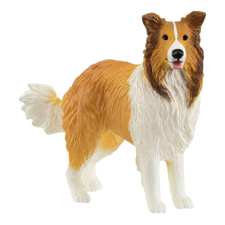 Schleich Farm World Collie | Kopen bij Flickmyhouse