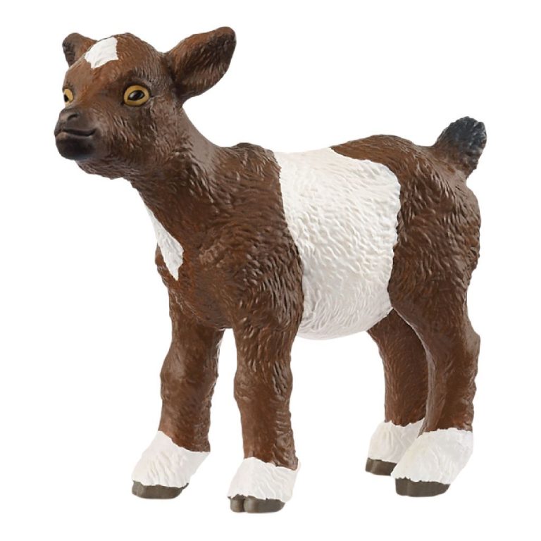 Schleich Farm World Geitenlam | Kopen bij Flickmyhouse