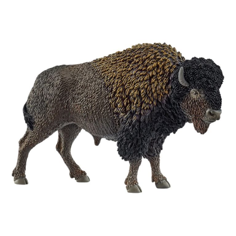 Schleich Wild Life Bizon | Kopen bij Flickmyhouse
