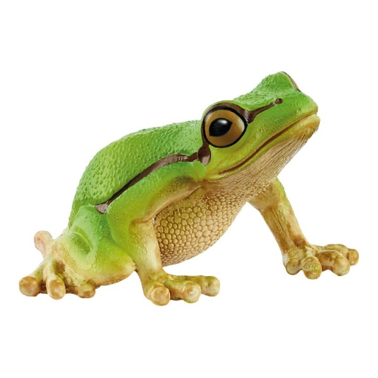 Schleich Wild Life Europese Boomkikker | Kopen bij Flickmyhouse