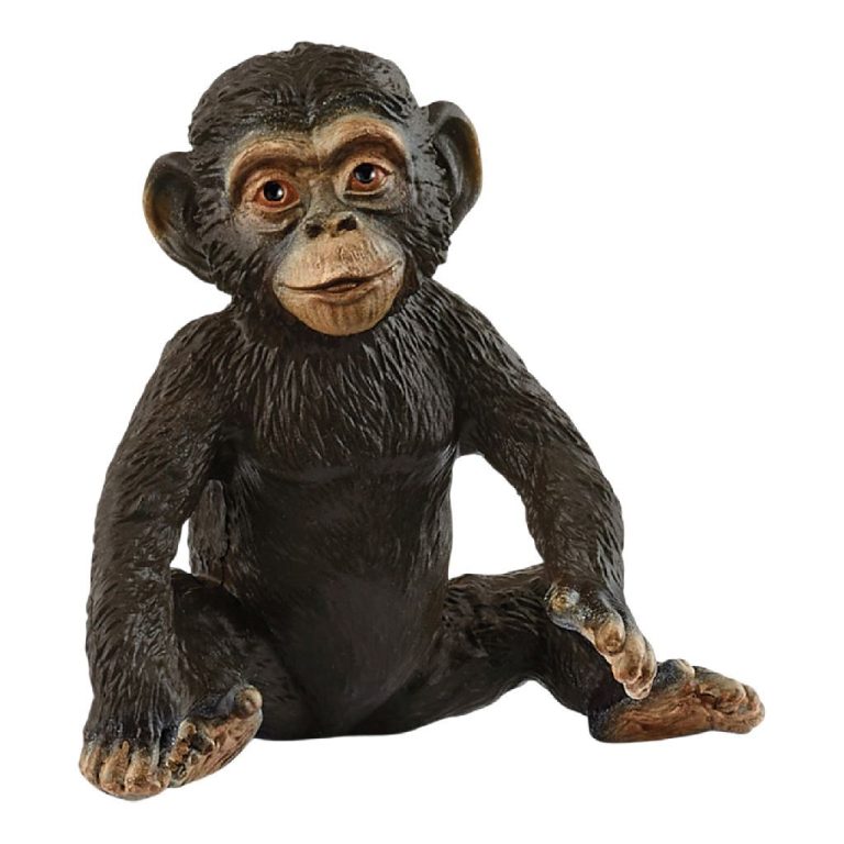 Schleich Wild Life Chimpansee Welp | Kopen bij Flickmyhouse