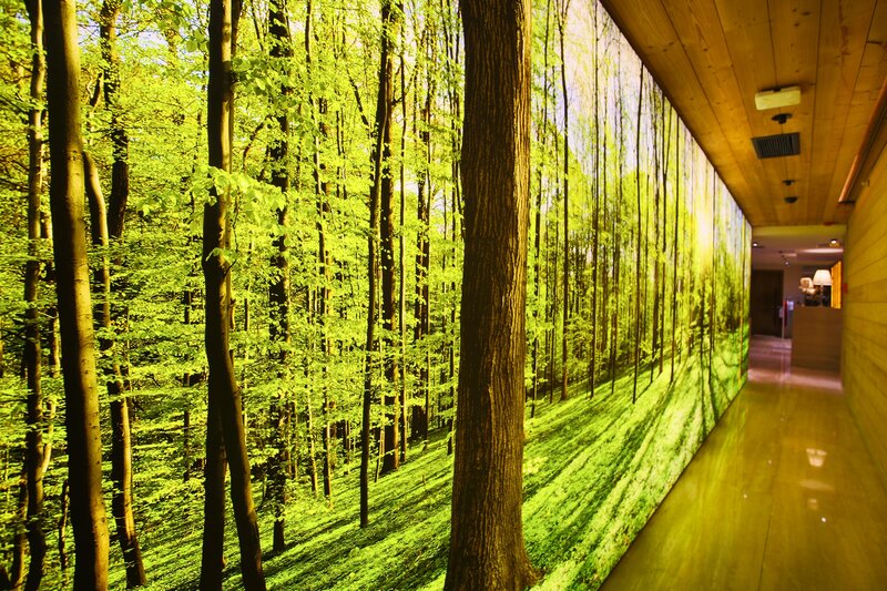 LiggingDeze B & B ligt aan een hoofdstraat