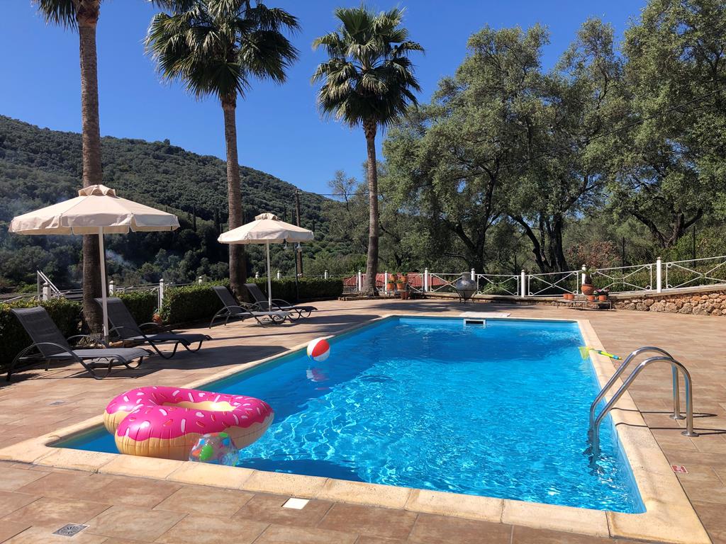 Golden Sun | Reserveren bij Fliickmyhouse