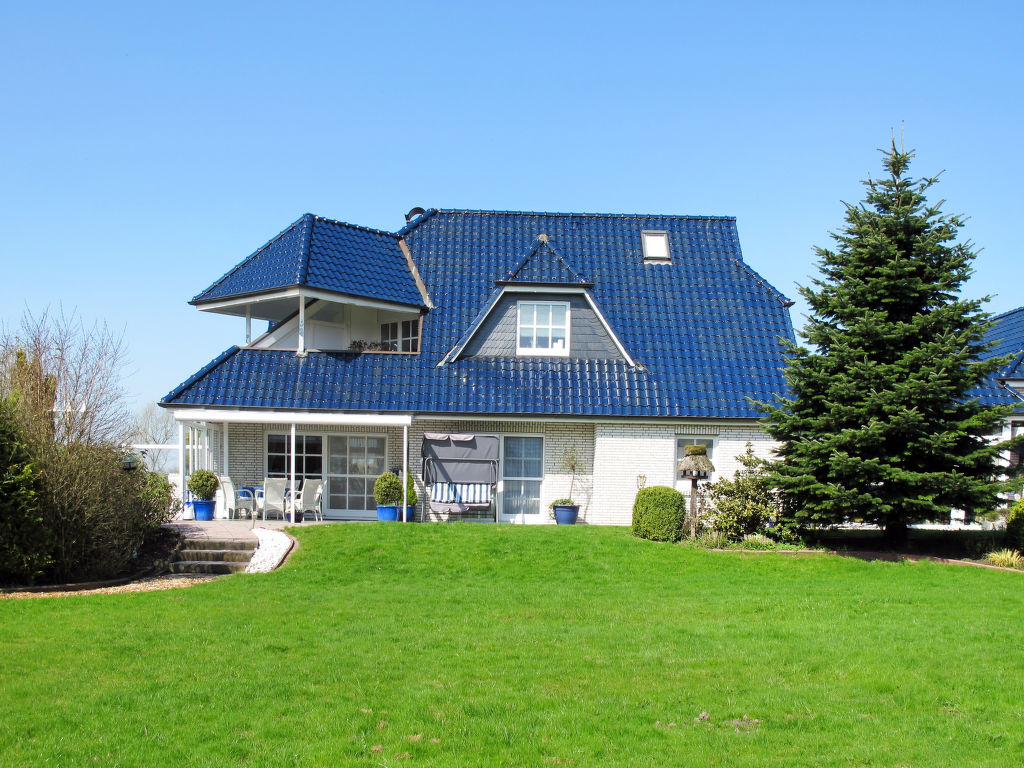 Cohn | Boeken bij Flickmyhouse