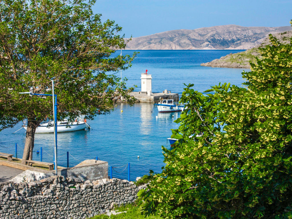 Val | Boeken bij Flickmyhouse