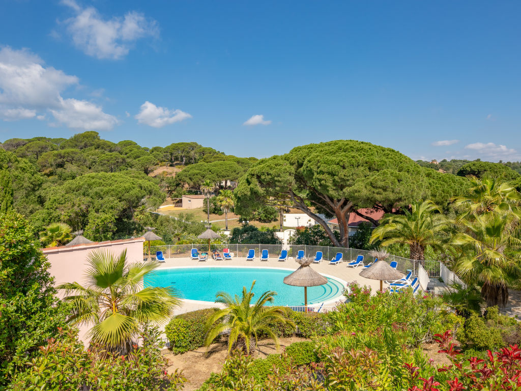 Les Eucalyptus | Boeken bij Flickmyhouse