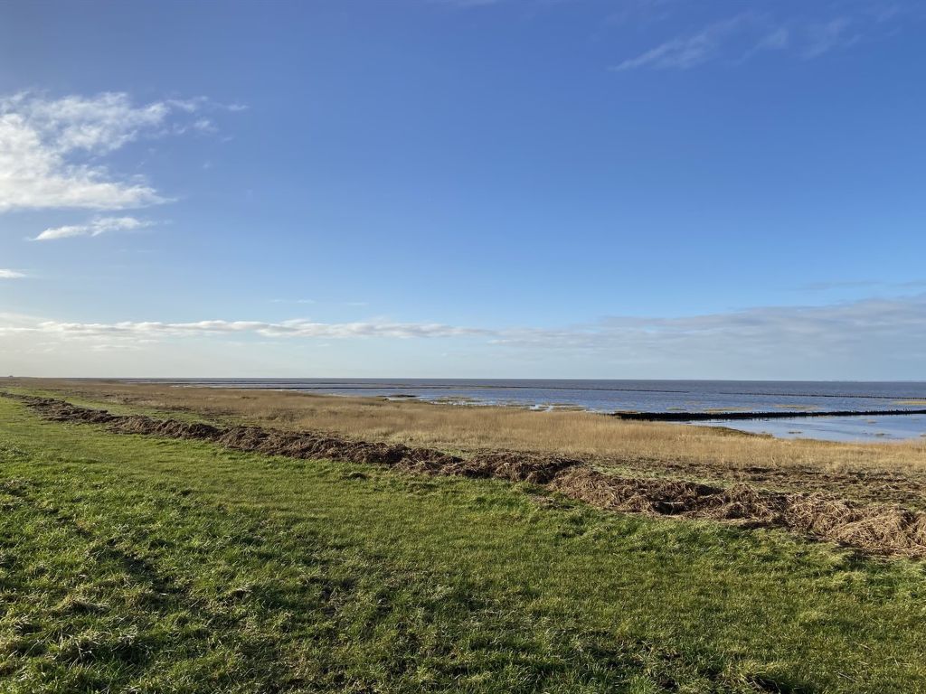 "Tuki" - 10km from the sea | Boeken bij Flickmyhouse