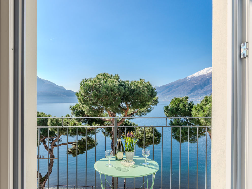 Trota | Boeken bij Flickmyhouse