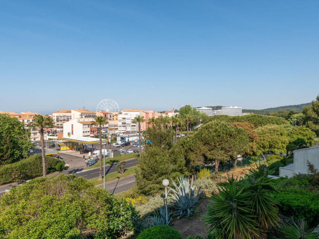 Les Asphodeles | Boeken bij Flickmyhouse