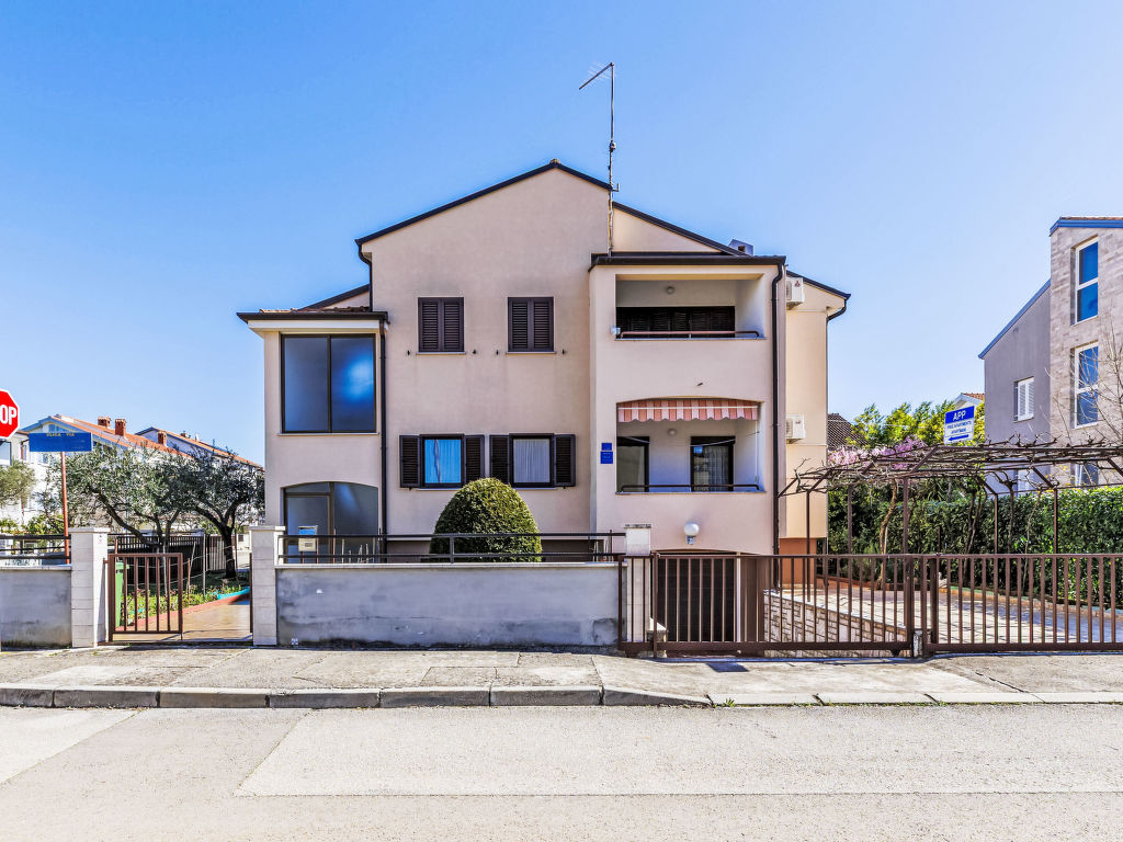 Zoki 2 | Boeken bij Flickmyhouse