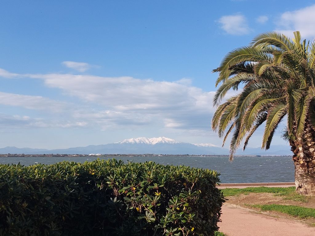 Dominica | Boeken bij Flickmyhouse