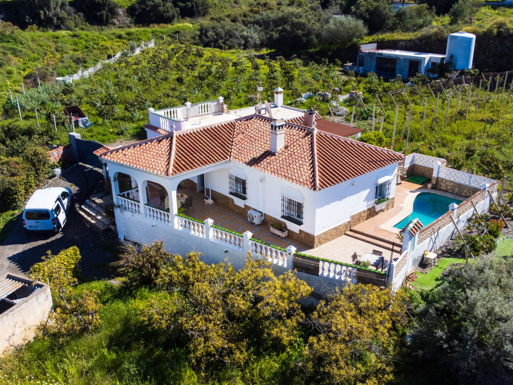 Paloma Blanca | Boeken bij Flickmyhouse