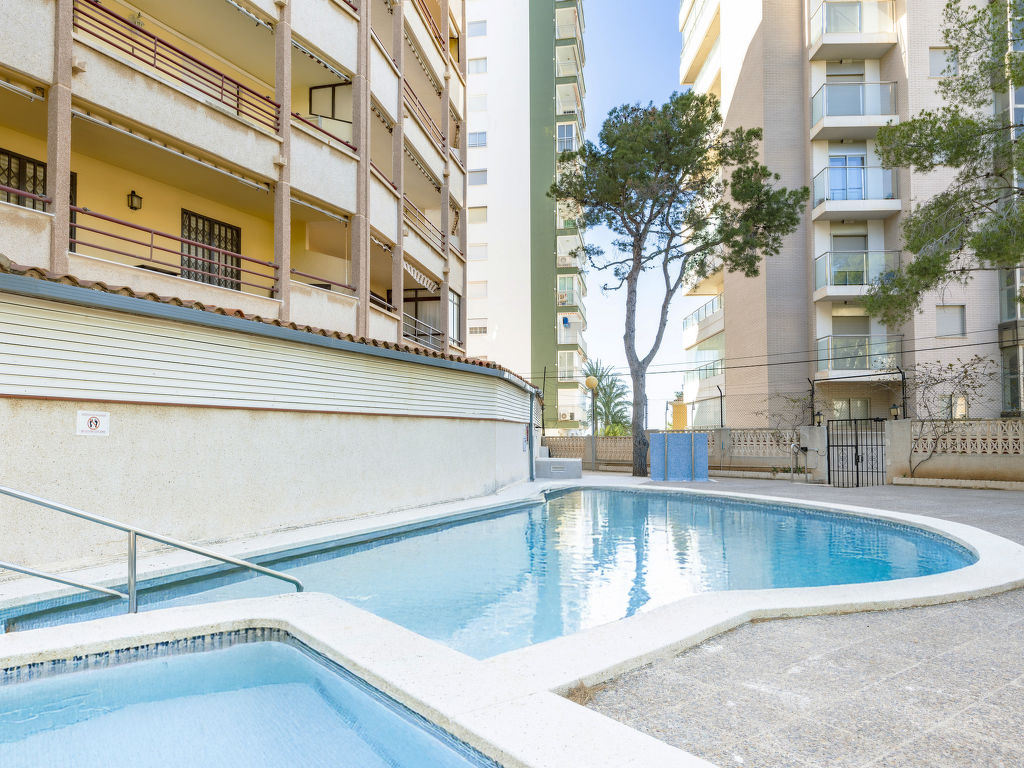 Torreslandia Concha | Boeken bij Flickmyhouse