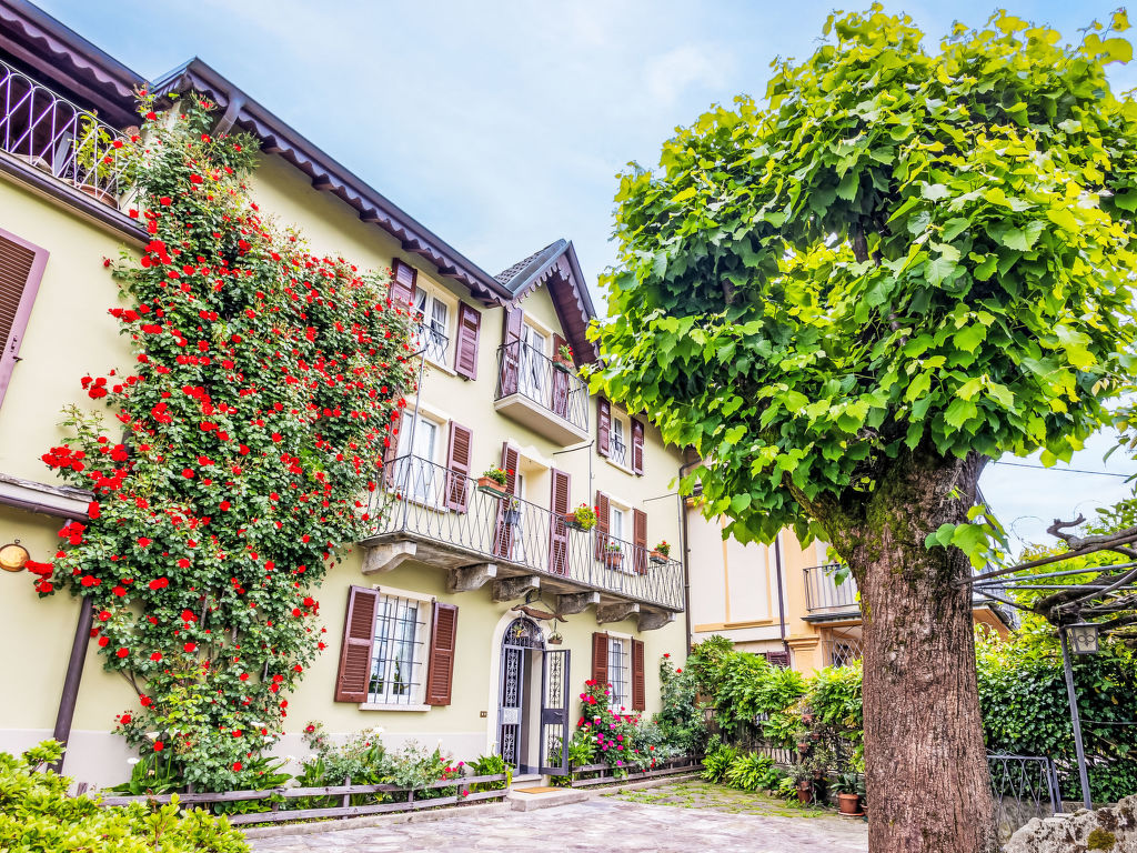 Bienna Antica | Boeken bij Flickmyhouse