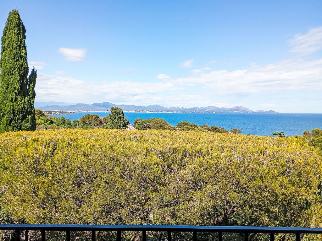 Maïca | Boeken bij Flickmyhouse