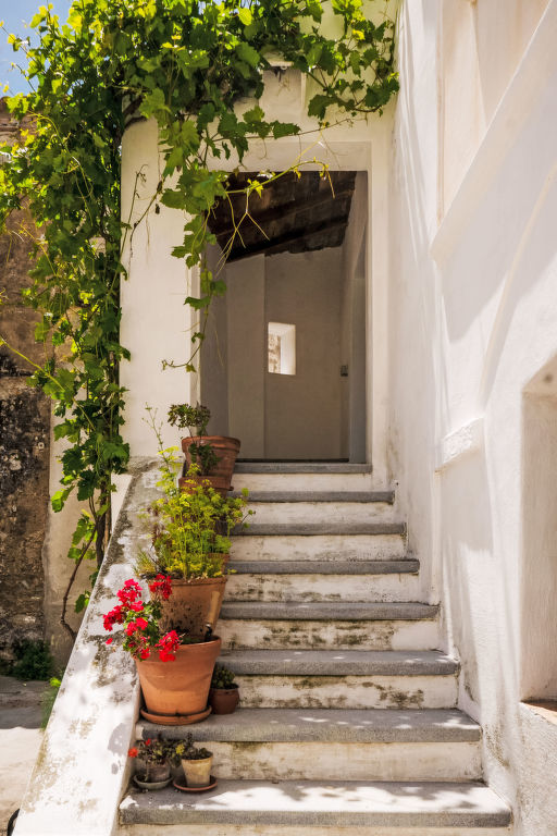 Fazio | Boeken bij Flickmyhouse