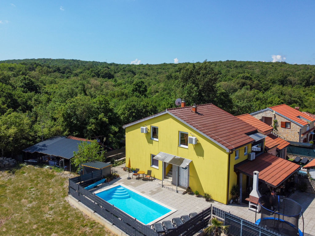 Radmila 1 | Boeken bij Flickmyhouse