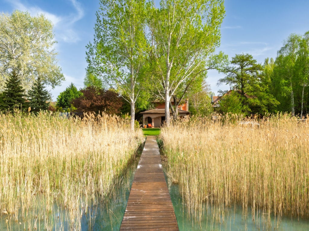 Tramonto | Boeken bij Flickmyhouse