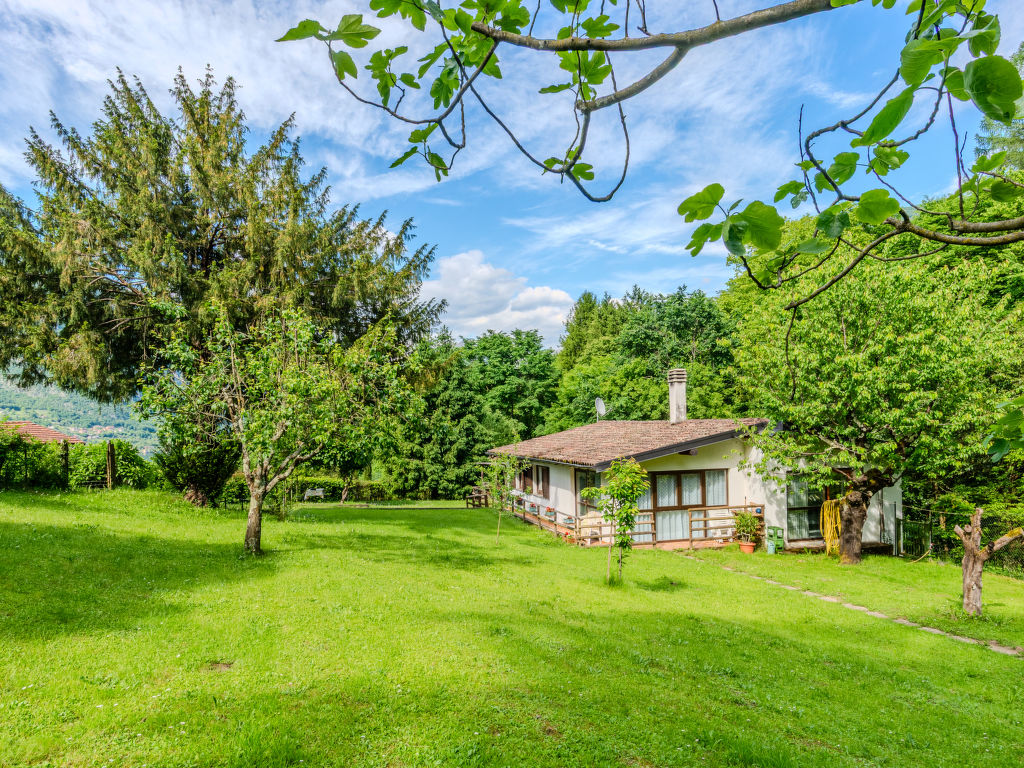 Lucia | Boeken bij Flickmyhouse