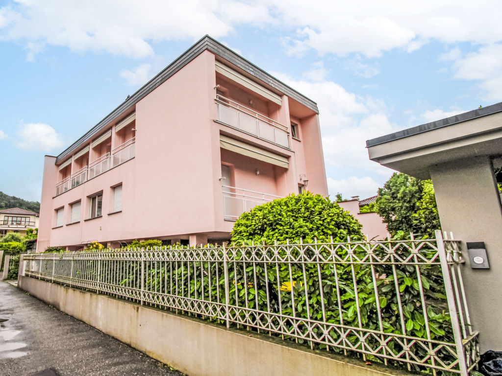 Camelia | Boeken bij Flickmyhouse