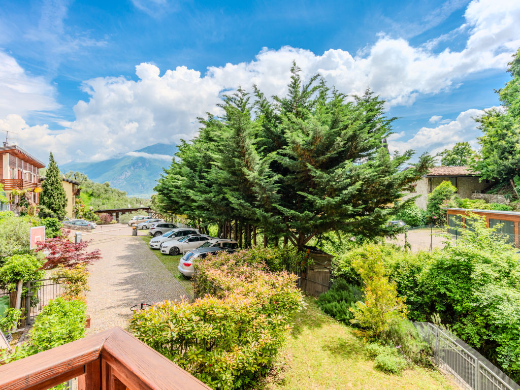 Angi | Boeken bij Flickmyhouse