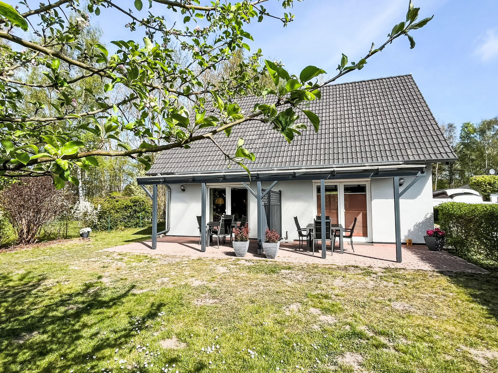 Muschelnest | Boeken bij Flickmyhouse