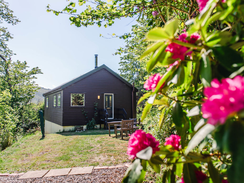 Cherrytrees | Boeken bij Flickmyhouse