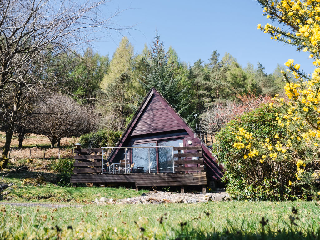 Oystercatcher | Boeken bij Flickmyhouse