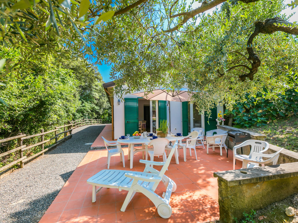 Podere gli Olivi | Boeken bij Flickmyhouse