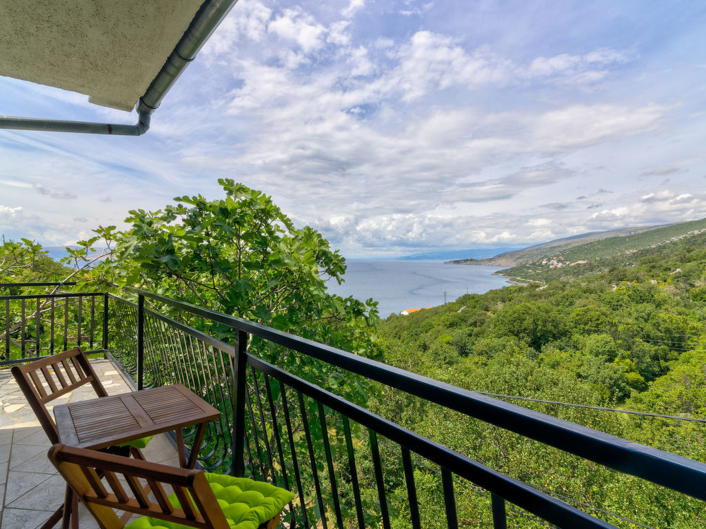 Domy | Boeken bij Flickmyhouse