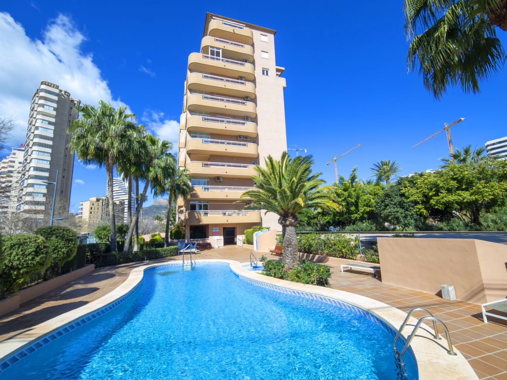 Oasis | Boeken bij Flickmyhouse