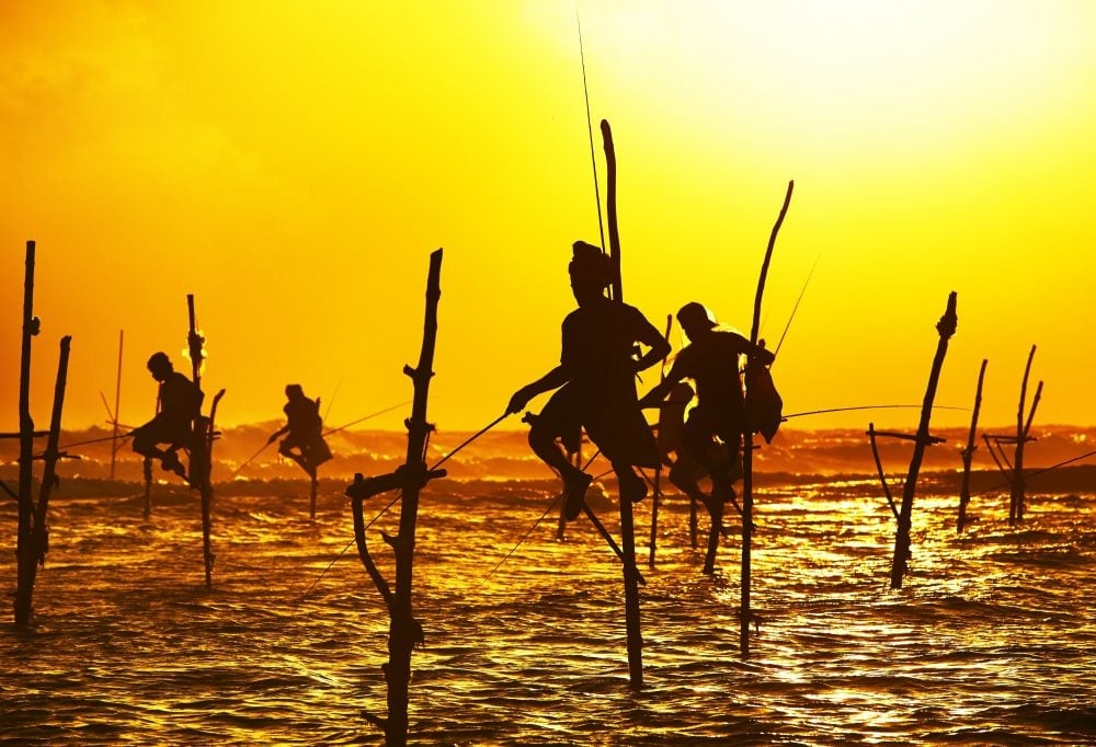 Grand Tour Sri Lanka Deluxe