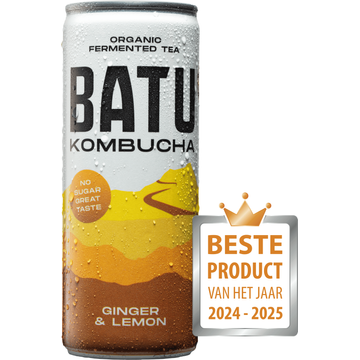 Batu Kombucha Organic Fermented Tea Ginger & Lemon 250 ml bij Jumbo | Flickmyhouse