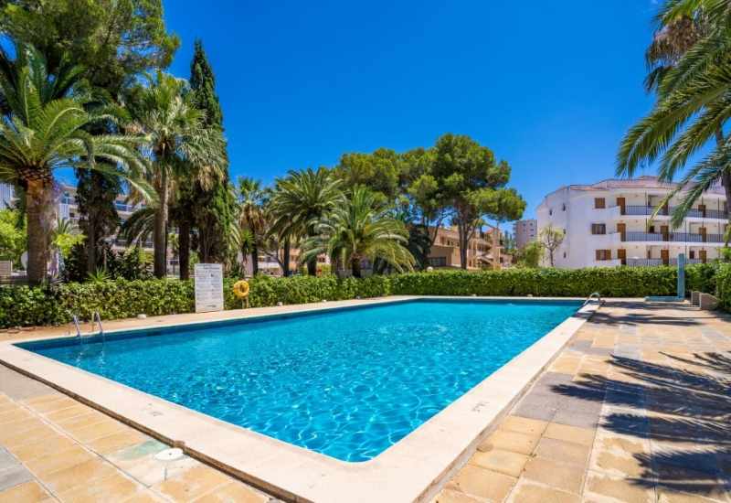 LiggingEconotel Las Palomas ligt in de badplaats Palmanova