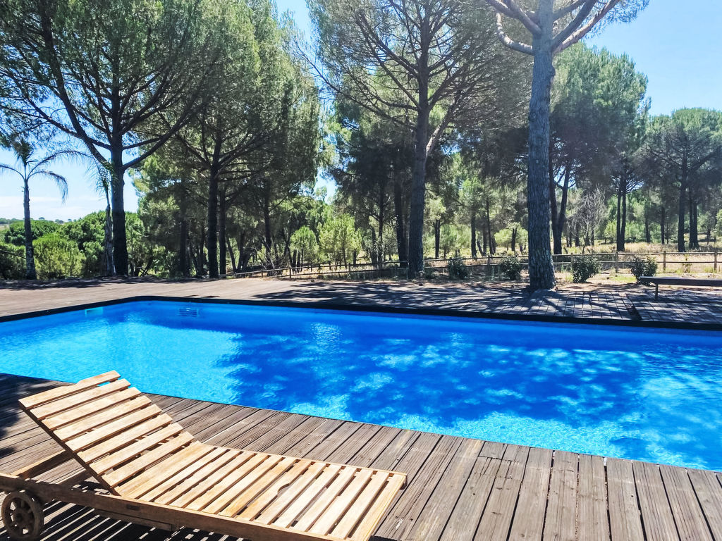 Entre as Árvores | Boeken bij Flickmyhouse