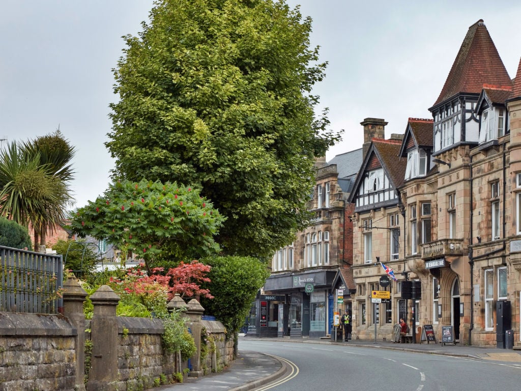 Shaky's Penthouse | Boeken bij Flickmyhouse