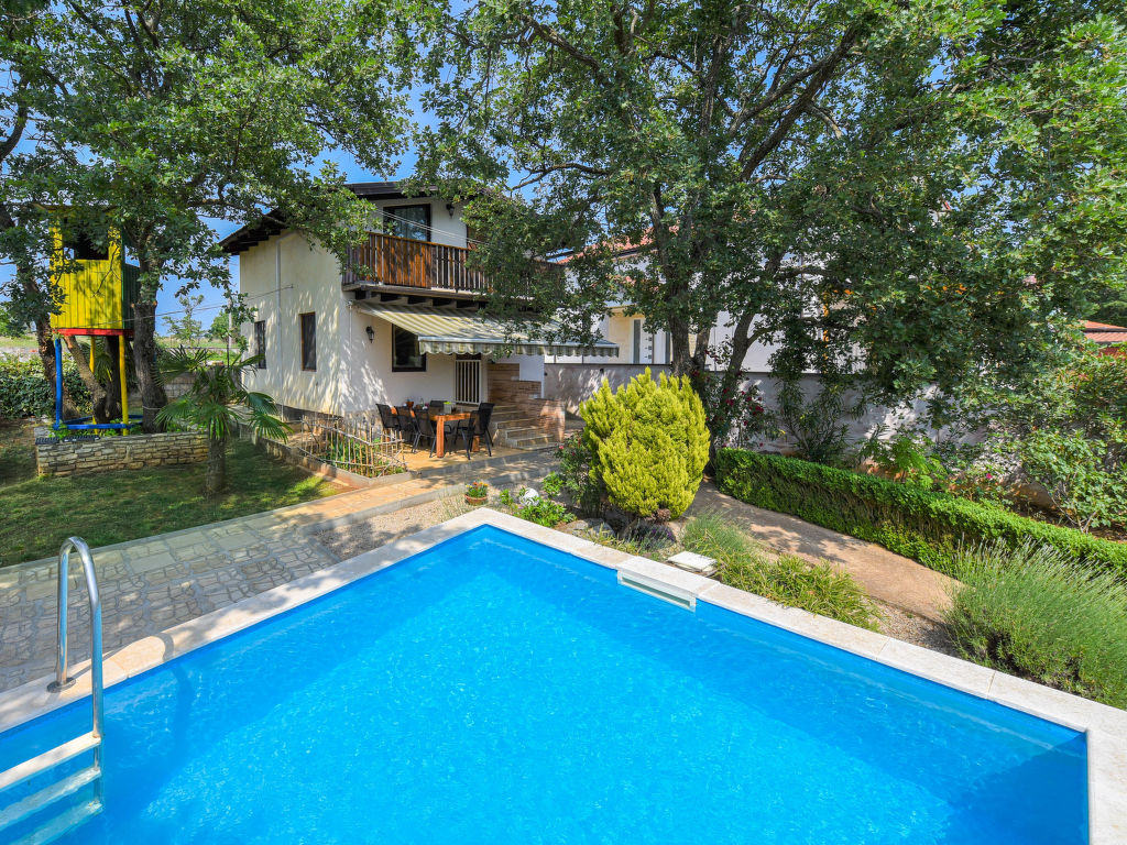 Ajla | Boeken bij Flickmyhouse