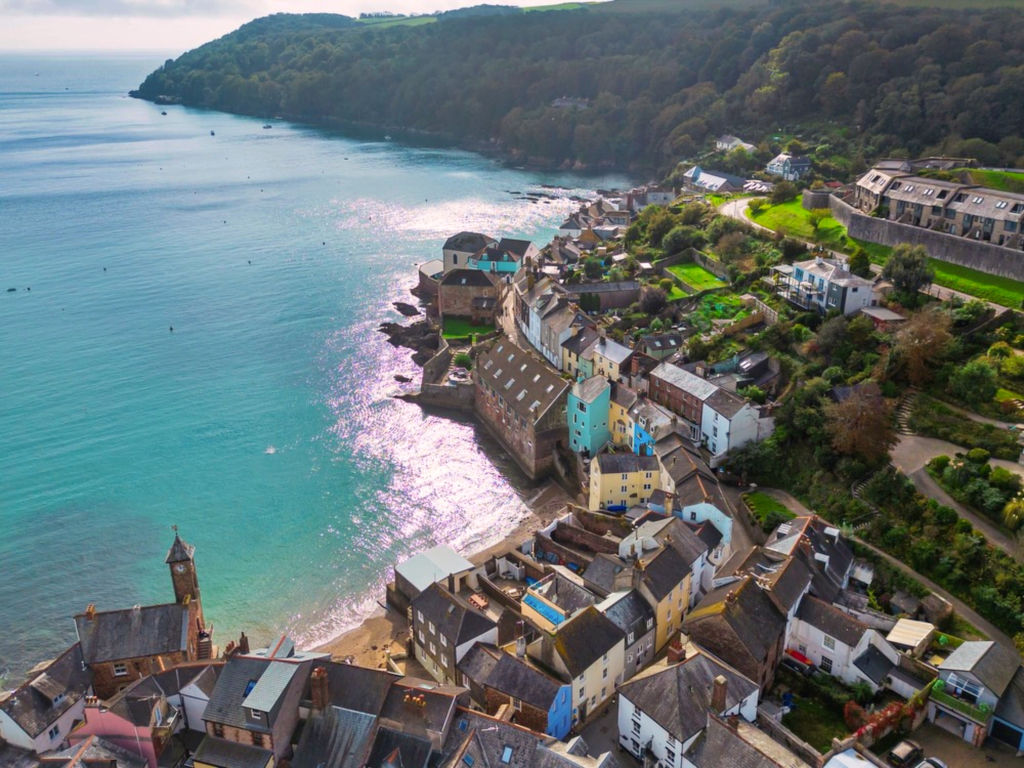 Blue Monkey | Boeken bij Flickmyhouse