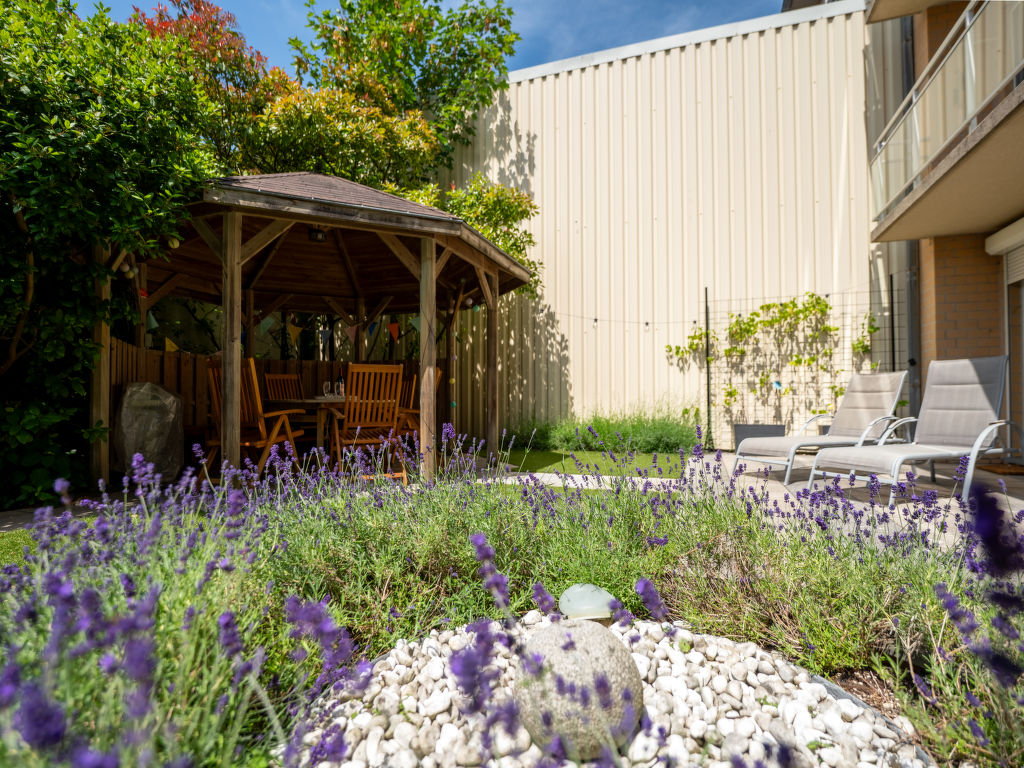 Leonifi | Boeken bij Flickmyhouse